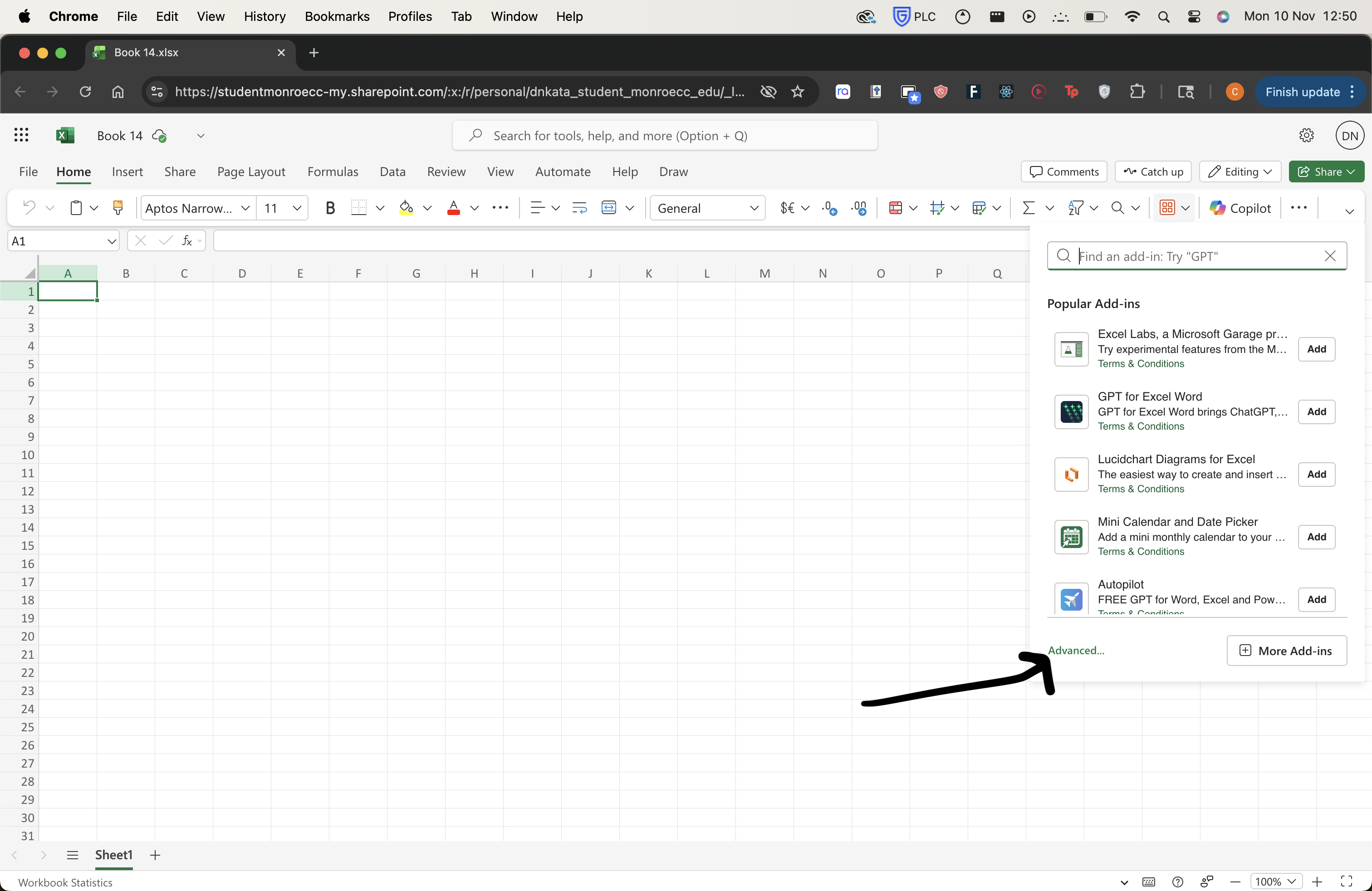 Add-ins panel showing Advanced option