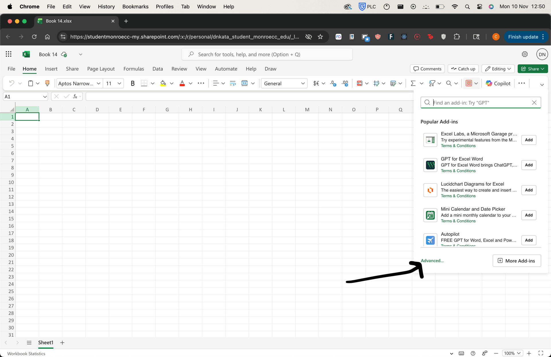Add-ins panel showing Advanced option